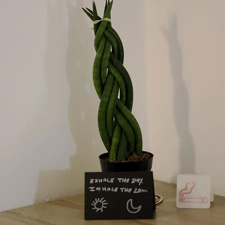 The Zen Loft A Quiet And Restful Urban Hideaway *