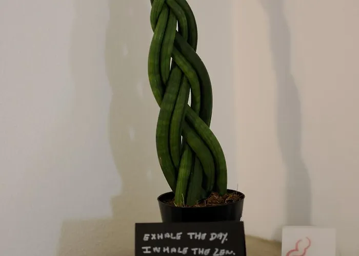 Zen Loft Stylish & Peaceful Near St Julians *